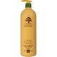 Nualintiems ir pažeistiems plaukams šampūnas Arganmidas Moroccan Argan Oil Clear Hydrating 450ml