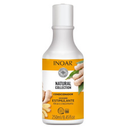 Plaukų kondicionierius su imbiero ekstraktu INOAR Gengibre Conditioner 250ml