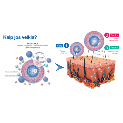Liposominis valiklis SESDERMA SENSYSES 200ml