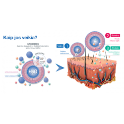 Liposominis valiklis SESDERMA SENSYSES 200ml