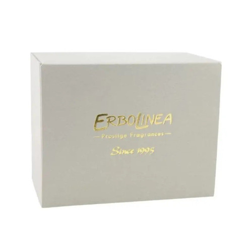 Kvapas namams su lazdelėmis Erbolinea Prestige Capodimonte Beige Vin Di Vino