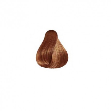 Wella Professionals Illumina Permanent Hair Color Plaukų dažai