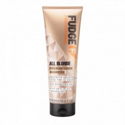Fudge Professional Šviesių plaukų spalvą saugantis šampūnas All Blonde Colour Lock Shampoo