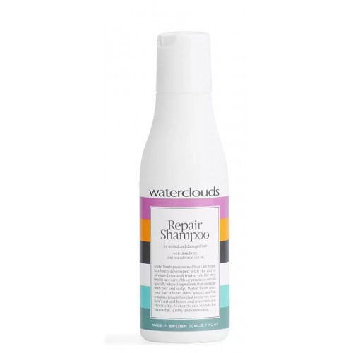 Regeneruojantis šampūnas WATERCLOUDS  Repair Shampoo 250 ml