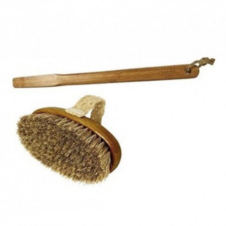 Hydrea London Kūno šveitimo šepetys su nuimama rankena Bamboo Body Brush with Detachable handle