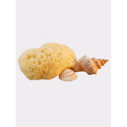 Hydrea London Natūrali kempinėlė kūdikiams Fina Silk Sea Sponge