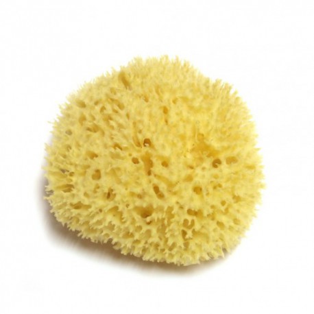 Hydrea London Natūrali jūros kempinė Honeycomb Sea Sponge