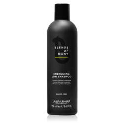 AlfaParf Milano Plaukus stiprinantis šampūnas Blends Of Many Energizing Low Shampoo