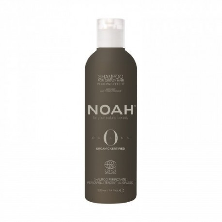 Noah Valomasis plaukų šampūnas Origins Shampoo For Greasy Hair Purifying Effect