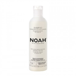 Noah Sausų ir chemiškai pažeistų plaukų šampūnas 1.4 Regenerating Shampoo With Argan Oil