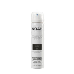 Noah Plaukų šaknų maskuoklis Hair Root Concealer