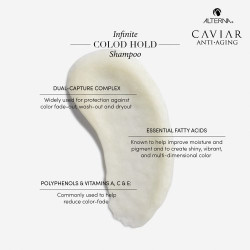 Alterna Spalvą saugantis plaukų šampūnas dažytiems plaukams Infinite Color Hold Shampoo