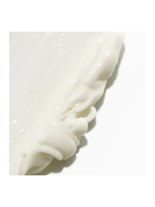 Novexpert Apsauginis maitinamasis kremas su Omega rūgštimis Rich Protective Cream