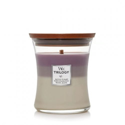 WoodWick Kvapni žvakė Amethyst Sky