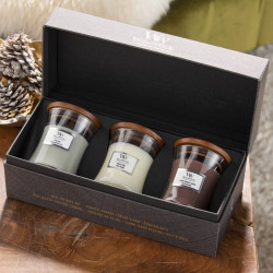 WoodWick Žvakių rinkinys dovanų dėžutėje Mini Core Fireside, White teak, Stone Washed Suede Gift Set