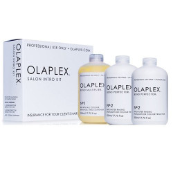 Olaplex Plaukų atkūrimo sistema Salon intro Kit