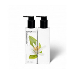 Kinetics Parfumuotas losjonas rankoms ir kūnui su apelsinų žiedais ir imbieru Hand & Body Lotion Orange Blossom & Ginger