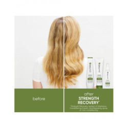 Biolage Atkuriamasis šampūnas Strength Recovery Repairing Shampoo