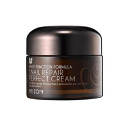 Mizon Snail Repair Perfect Cream Veido kremas su sraigių mucinu