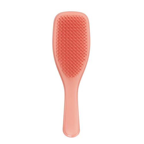 Tangle Teezer Plaukų šepetys The Wet Detangler