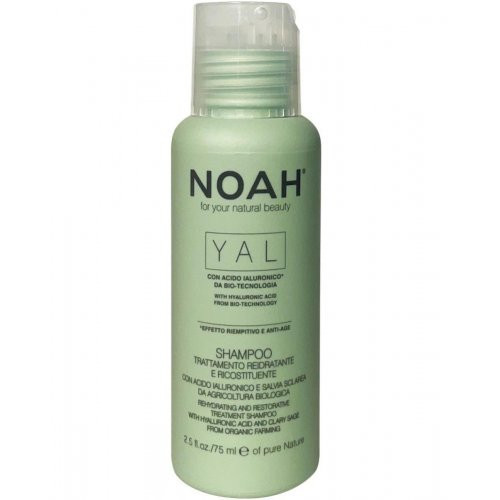 Noah Atkuriamasis ir drėkinamasis plaukų šampūnas YAL Hydrating And Restorative Treatment Shampoo