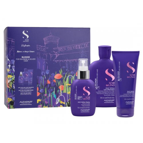 Rinkinys šviesintiems plaukams SDL Holiday Blonde Gift Set