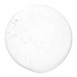 Paul Mitchell | Lavender Mint Moisturizing Shampoo Drėkinantis šampūn.