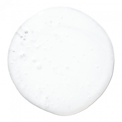 Paul Mitchell | Lavender Mint Moisturizing Shampoo Drėkinantis šampūn.