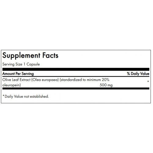 SWANSON Alyvuogių lapų (oleuropein) ekstraktas Olive Leaf Extract Immune Health