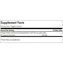 SWANSON Dviskiautis ginkmedis Ginkgo Biloba Extract Cognitive Health 60mg