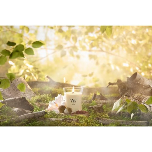 WoodWick Kvapni žvakė Solar Haze Candle
