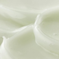 Beauty of Joseon Gaivinantis šviesinantis veido odos serumas Light On Serum Centella + Vita C Beauty of Joseon Gaivinantis šviesinantis veido odos serumas Light On Serum Centella + Vita C
