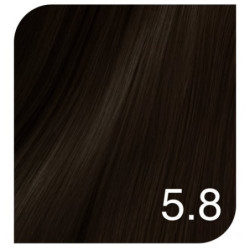 Revlon Professional Pusiau ilgalaikiai plaukų dažai Color Excel Gloss Acidic Gloss Treatment Revlon Professional Pusiau ilgalaikiai plaukų dažai Color Excel Gloss Acidic Gloss Treatment