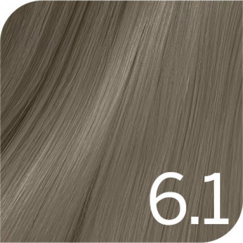 Revlon Professional Profesionalūs plaukų dažai Revlonissimo Colorsmetique Permanent Hair Color COOLS Revlon Professional Profesionalūs plaukų dažai Revlonissimo Colorsmetique Permanent Hair Color COOLS