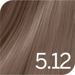 Revlon Professional Profesionalūs plaukų dažai Revlonissimo Colorsmetique Permanent Hair Color COOLS Revlon Professional Profesionalūs plaukų dažai Revlonissimo Colorsmetique Permanent Hair Color COOLS