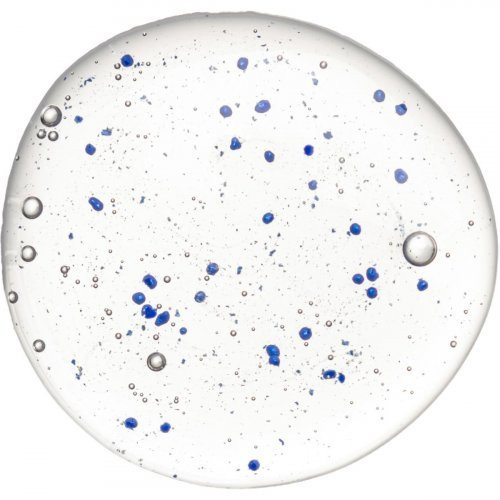 Hadat Cosmetics Mikrokapsulių giliai valantis šampūnas Microcapsules Shampoo