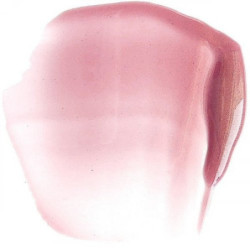 Paese Lūpų blizgis Beauty Lip Gloss