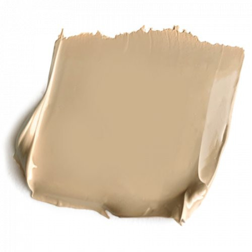 Paese Face Foundations Collagen Moisturizing Kreminė pudra