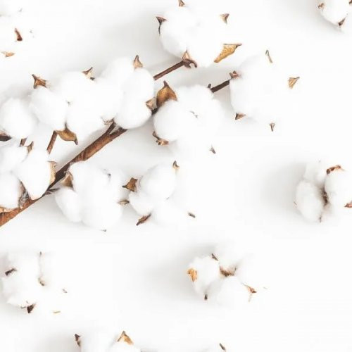 Newsha Švelnios tekstūros kondicionierius jautriai galvos odai Pure Soft Cotton Conditioner