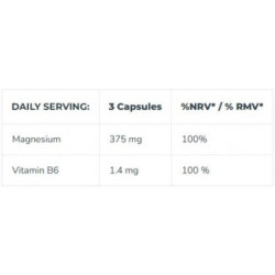 Iconfit Magnio ir vitamino B6 kapsulės Magnesium B6 375mg