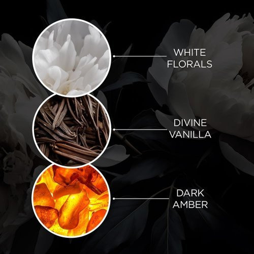 Baylis & Harding Kvapioji kūno ir plaukų dulksna The Edit Twilight Amber Body & Hair Mist