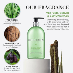 Baylis & Harding Antibakterinis skystas rankų muilas Vetiver, Cedar & Lemongrass Anti-Bacterial Hand Wash