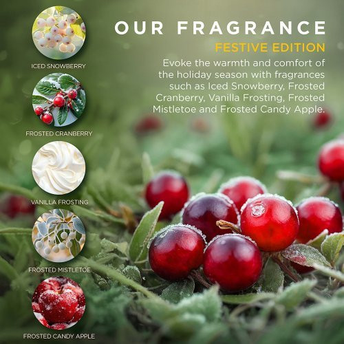 Baylis & Harding Kalėdinis skystas rankų muilas Festive Hand Wash