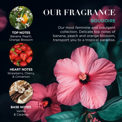 Baylis & Harding Kūno priežiūros rinkinys Boudoire Luxury Drum Gift Set
