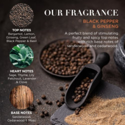 Baylis & Harding Kūno ir plaukų priežiūros rinkinys vyrams Black Pepper & Ginseng The Essentials Tin Kit Gift Set