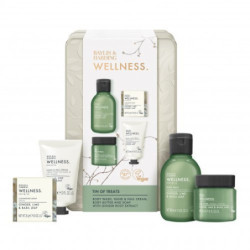 Baylis & Harding Kūno priežiūros dovanų rinkinys Wellness Tin Of Treats Gift Set