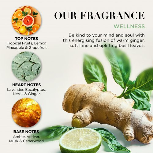 Baylis & Harding Kūno priežiūros dovanų rinkinys Wellness Tin Of Treats Gift Set