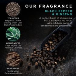 Baylis & Harding Kelioninis kūno, veido ir plaukų priežiūros rinkinys vyrams Black Pepper & Ginseng The Essentials Travel Wash Bag Gift Set