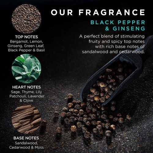 Baylis & Harding Kelioninis kūno, veido ir plaukų priežiūros rinkinys vyrams Black Pepper & Ginseng The Essentials Travel Wash Bag Gift Set