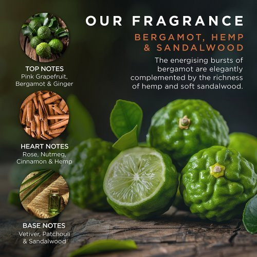 Baylis & Harding Kūno, veido ir plaukų priežiūros rinkinys vyrams The Fuzzy Duck Bergamot, Hemp & Sandalwood Luxury Gift Box Gift Set